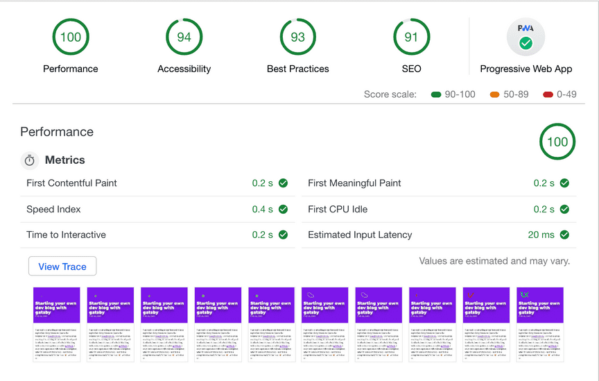 Lighthouse Audit Mobile